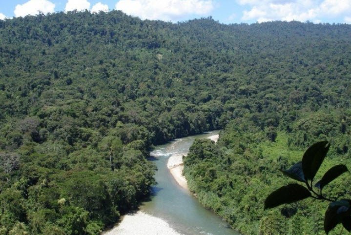 Podocarpus National Park, Loja & Zamora-Chinchipe, Ecuador